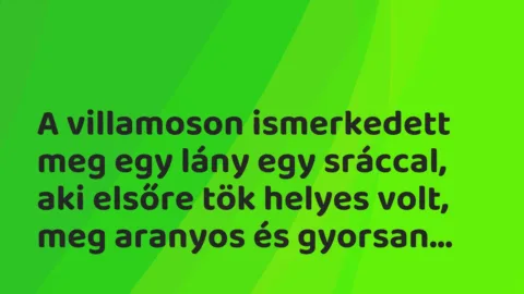 Vicces történet:
A villamoson ismerkedett meg egy lány… Vicces történet:
A villamoson ismerkedett meg egy lány…