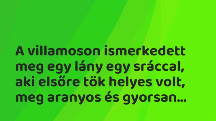 Vicces történet:
A villamoson ismerkedett meg egy lány… Vicces történet:
A villamoson ismerkedett meg egy lány…