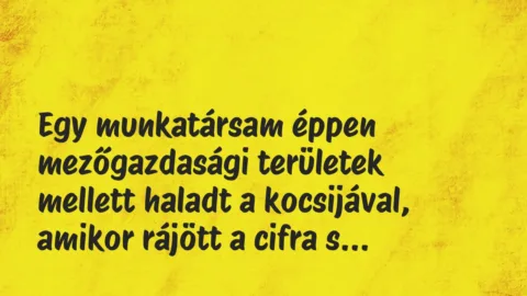 Vicces történet: 
	    	    


Egy munkatársam éppen mezőgazdasági…