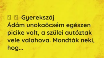 Vicces történet: 
	    	    Gyerekszáj


Ádám unokaöcsém egészen picike volt, a…