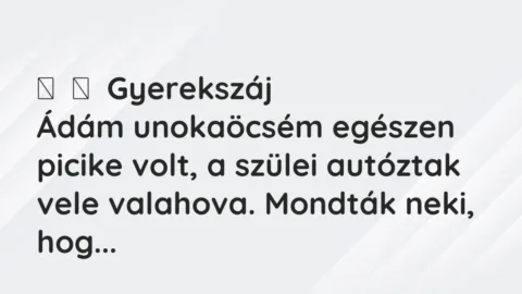 Vicces történet: 
	    	    Gyerekszáj


Ádám unokaöcsém egészen picike volt, a…