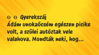 Vicces történet: 
	    	    Gyerekszáj


Ádám unokaöcsém egészen picike volt, a…