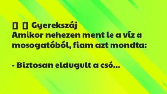 Vicces történet: 
	    	    Gyerekszáj


Amikor nehezen ment le a víz a…