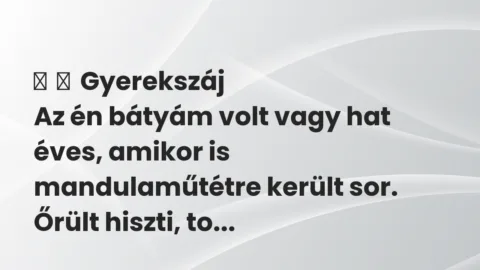 Vicces történet: 
	    	    Gyerekszáj


Az én bátyám volt vagy hat éves, amikor is…