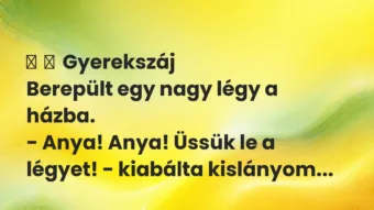 Vicces történet: 
	    	    Gyerekszáj


Berepült egy nagy légy a házba.


-…