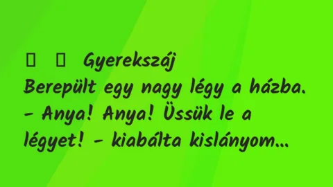 Vicces történet: 
	    	    Gyerekszáj


Berepült egy nagy légy a házba.


-…