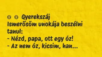 Vicces történet:
Gyerekszáj
Ismerősöm unokája beszélni tanul:
– … Vicces történet:
Gyerekszáj
Ismerősöm unokája beszélni tanul:
– …