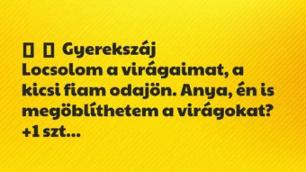 Vicces történet: 
	    	    Gyerekszáj


Locsolom a virágaimat, a kicsi fiam…