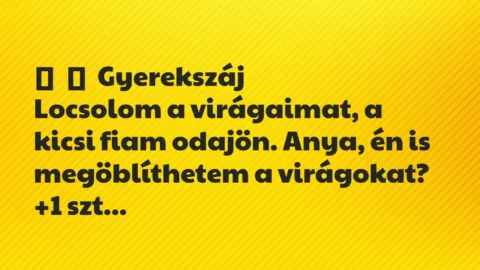 Vicces történet: 
	    	    Gyerekszáj


Locsolom a virágaimat, a kicsi fiam…