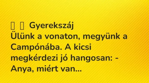 Vicces történet: 
	    	    Gyerekszáj


Ülünk a vonaton, megyünk a Campónába. A…