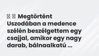 Vicces történet:
Megtörtént
Uszodában a medence szélén beszélgettem… Vicces történet:
Megtörtént
Uszodában a medence szélén beszélgettem…