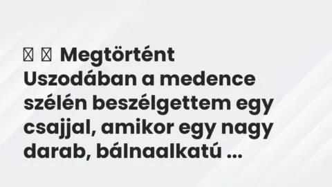 Vicces történet: 
	    	    Megtörtént


Uszodában a medence szélén beszélgettem…