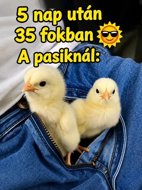 5 nap után 35 fokban a pasiknál