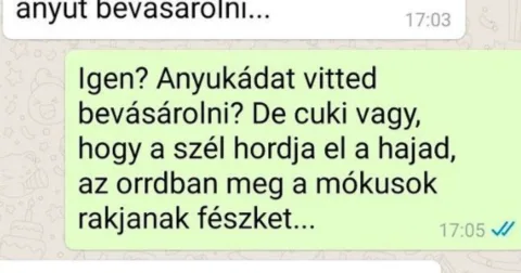 Vicc: Elvittem anyut bevásárolni –