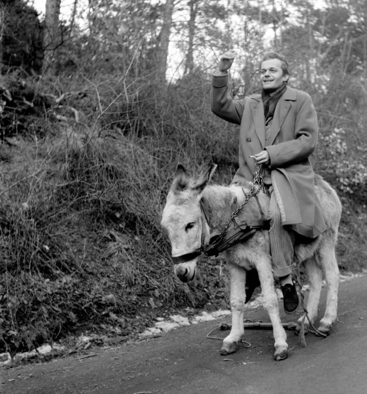 1957. Budapest, Darvas Iván színművész szamárháton a budai hegyekben. Nemzeti 1957. Budapest, Darvas Iván színművész szamárháton a budai hegyekben.
Nemzeti F… #RK1780916702