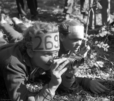 1957.  Sárbogárd, Sélley Erzsébet, a sárbogárdi általános iskola tanárnője távcs… #RK1782223201