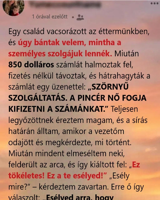 Egy család panaszt tett a szolgáltatásomra, elsétált egy 850 dolláros...