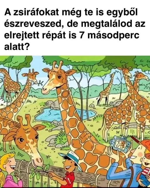 Rejtvény: A zsiráfokat még te is egyből észreveszed, de megtalálod