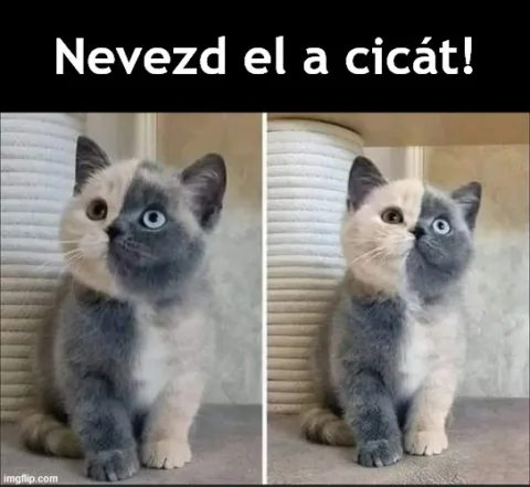 #VK1780588896
