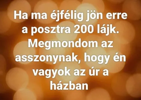 #VK1780686306