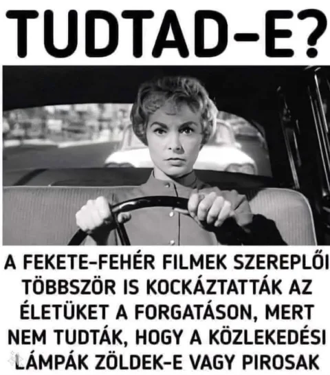 #VK1780694881