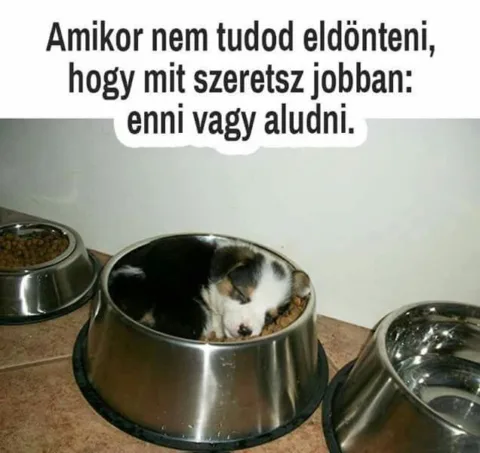 #VK1780828905 #VK1780828905