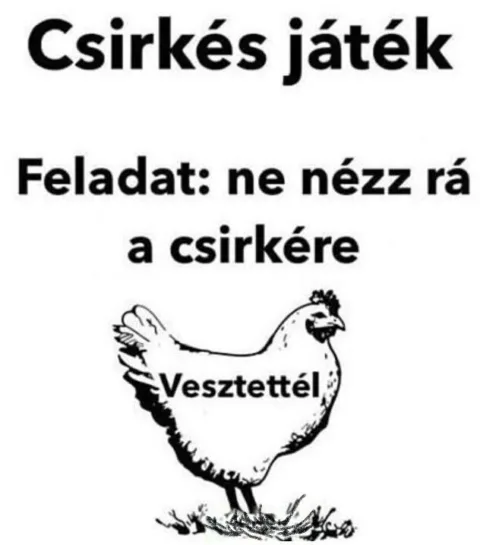 Csirkés játék Feladat ne nézz rá a csirkére... Csirkés játék Feladat ne nézz rá a csirkére...