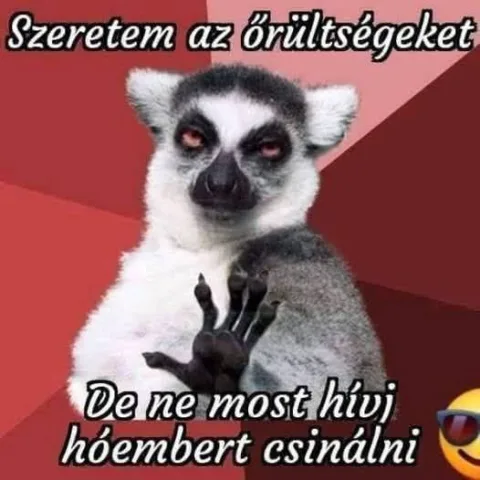 Szeretem az őrültségeket de ne most hívj hőembert csinálni Szeretem az őrültségeket de ne most hívj hőembert csinálni