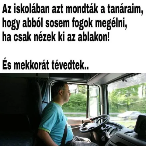 Az iskolában azt mondták a tanáraim, hogy abból sosem fogok megélni, ha csak nézek ki az...