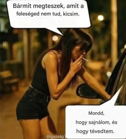 Bármit megteszek, amit a feleséged nem tud, kicsim...