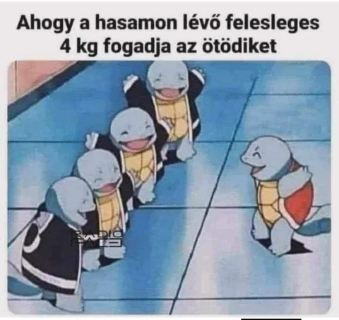 Ahogy a hasamon lévő felesleges 4 kg fogadja az ötödiket Ahogy a hasamon lévő felesleges 4 kg fogadja az ötödiket