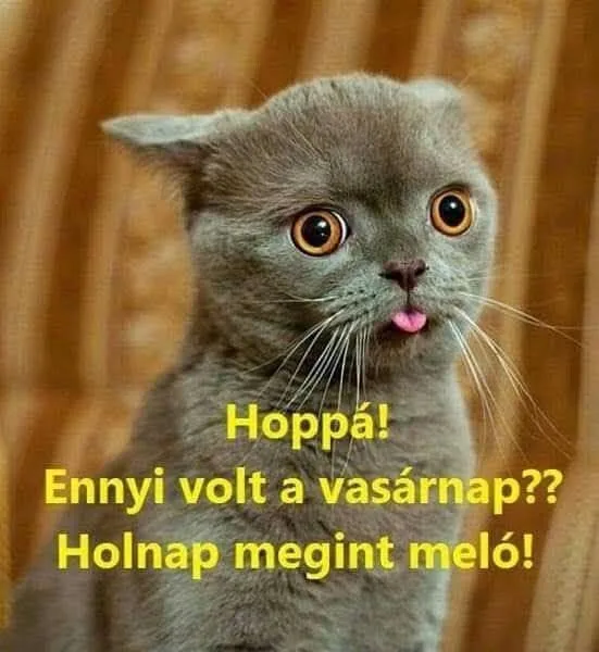 Hoppá! Ennyi volt a vasárnap? Hoppá! Ennyi volt a vasárnap?