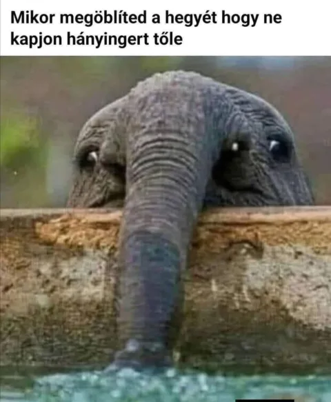 Mikor megöblíted a hegyét hogy ne kapjon hányingert tőle? Mikor megöblíted a hegyét hogy ne kapjon hányingert tőle?