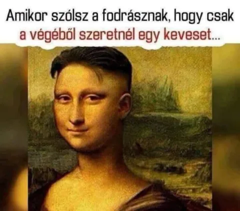 Amikor szólsz a fodrásznak, hogy csak a végéből szeretnél egy keveset Amikor szólsz a fodrásznak, hogy csak a végéből szeretnél egy keveset
