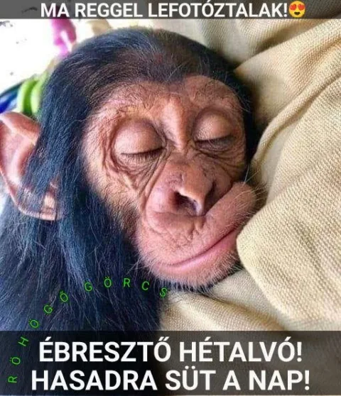 Ma reggel lefotóztalak!