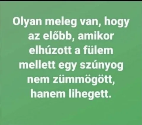 Olyan meleg van, hogy az előbb, amikor elhúzott egy szúnyog...