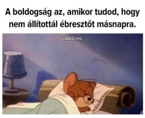 A boldogság az, amikor tudod, hogy nem állítottál ébresztőt másnapra.