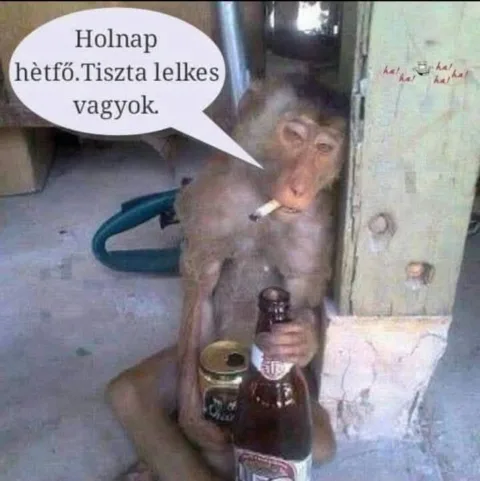 Holnap hétfő. Tiszta lelkes vagyok. Holnap hétfő. Tiszta lelkes vagyok.