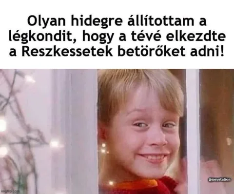 Olyan hidegre állítottam a légkondit, hogy a tévé elkezdte a Reszkessetek betörőket adni!