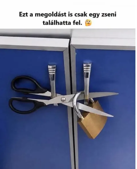 Ezt a megoldást is csak egy zseni találhatta fel.