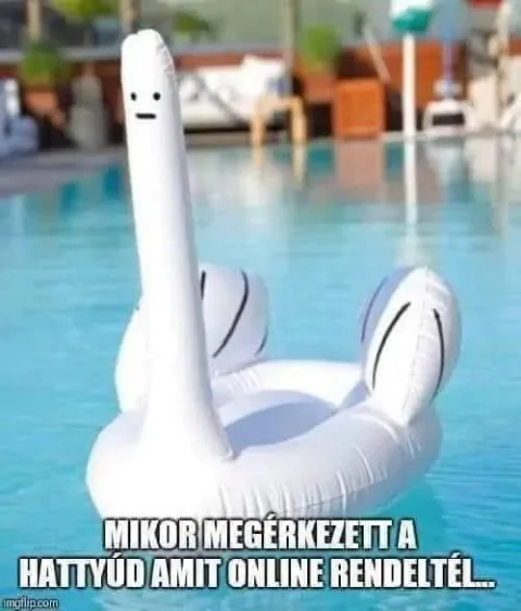 Mikor megérkezett a hattyúd amit online rendeltél?