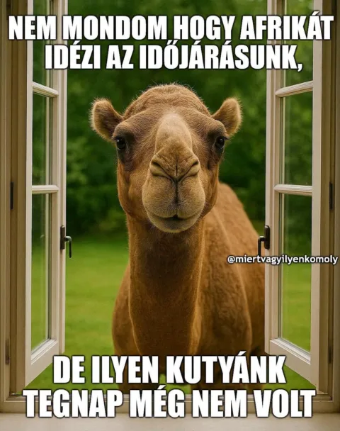 Nem mondom, hogy Afrika tüzi az időjárásunk