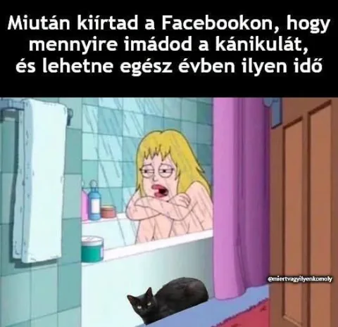 Miután kiírtad a Facebookon, hogy mennyire imádod a kánikulát...