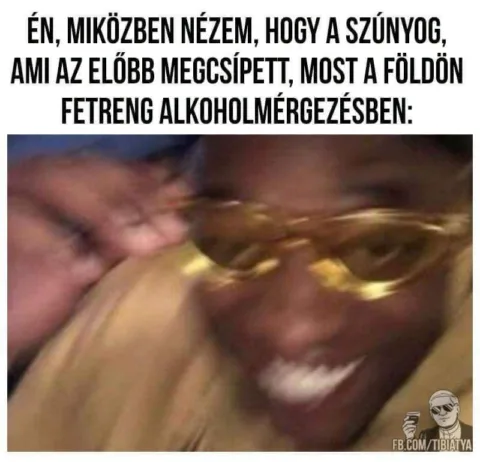 Én, miközben nézem, hogy a szünyog...