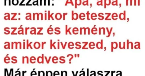 Vicc: A feleségnek kétségei támadtak, hogy a férje mit fog válaszolni…