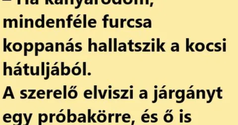 Vicc: Az autószerelőnek panaszkodik egy autó tulajdonos – Néhány jó…