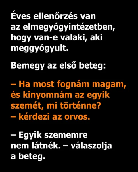 Vicc: Éves ellenőrzés van az elmegyógyintézetben