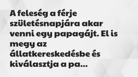 A feleség a férje születésnapjára akar venni egy papagájt. El is megy… – Vicc