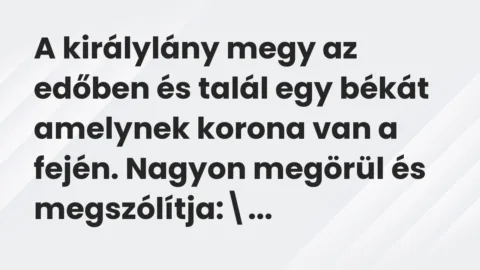 A királylány megy az edőben és talál egy békát amelynek korona van a… – Vicc A királylány megy az edőben és talál egy békát amelynek korona van a… – Vicc