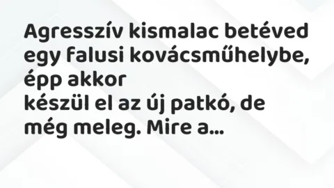 Agresszív kismalac betéved egy falusi kovácsműhelybe, épp akkor… – Vicc